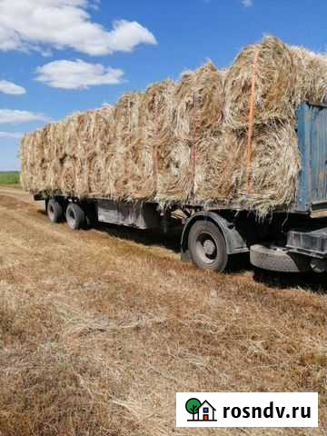 Продам сено Троицкое - изображение 1