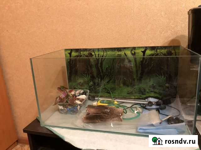 Аквариум Березники - изображение 1