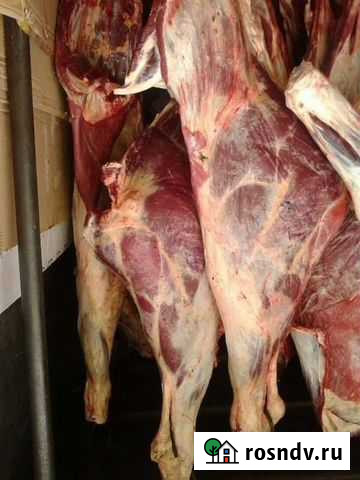 Продам мясо говядина, конина Бузулук - изображение 1