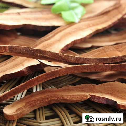 Гриб Линчжи (Рейши) для иммунитета Пермь - изображение 1