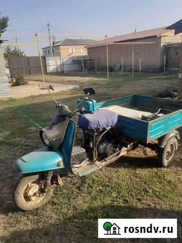 Муравей Краснохолм - изображение 1