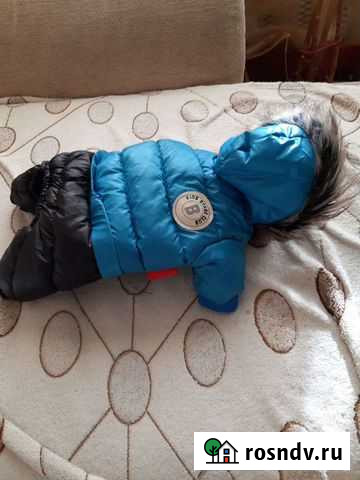 Продам зимний комбинезон на собачку Боровичи - изображение 1