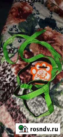 Ошейник для кошки Магадан - изображение 1