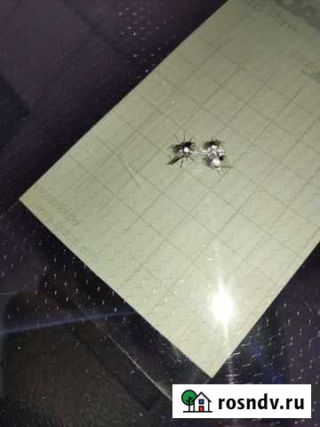 Ремонт, установка и полировка лобовых стекол Белгород - изображение 1