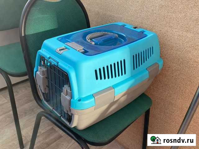 Переноска Петропавловск-Камчатский - изображение 1