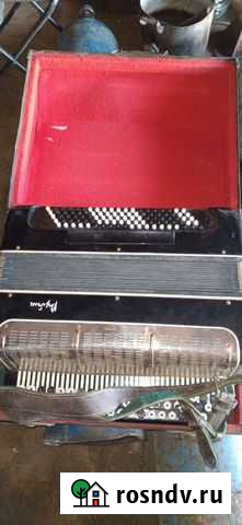 Баян рубин Липецк - изображение 1