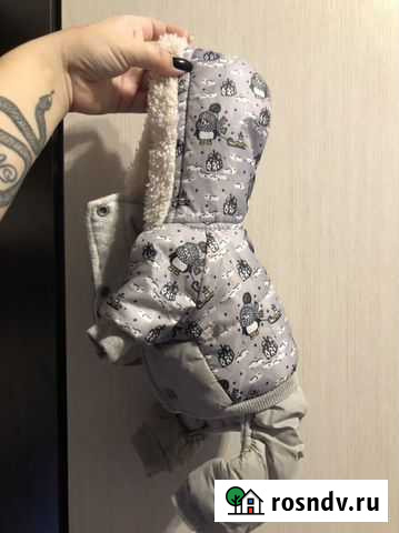 Одежда для собак Волгодонск - изображение 1