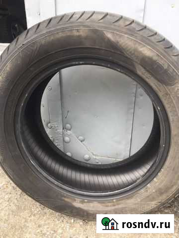 Шини летние Тайга - изображение 1