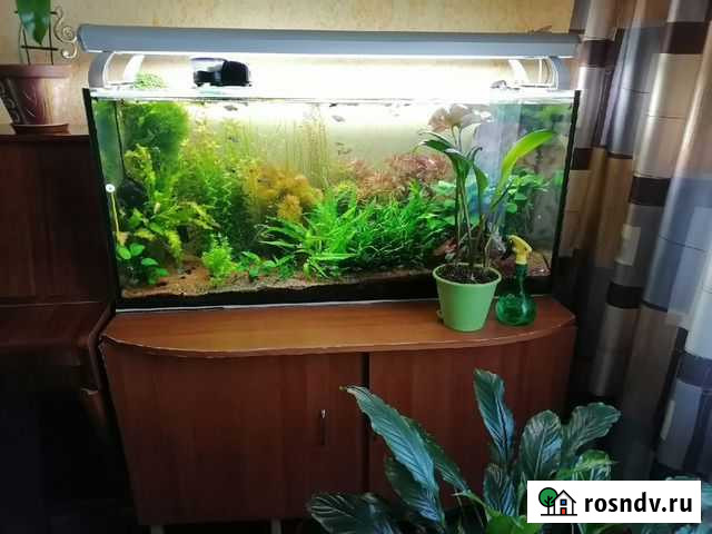 Аквариум Гаджиево - изображение 1