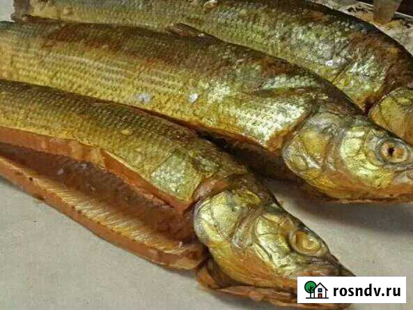 Рыба муксун хк Белебей - изображение 1