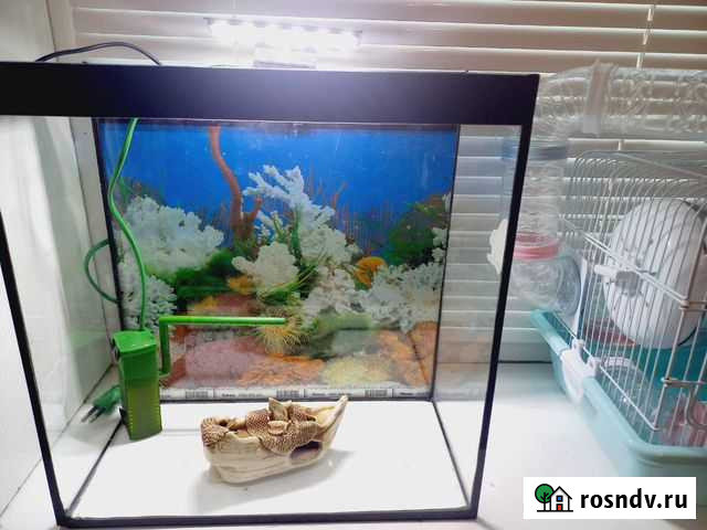 Аквариум для рыб Каспийск - изображение 1