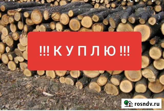 К.У.П.Л.Ю. дрова Майкоп - изображение 1