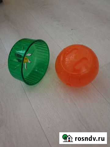 Колесо и шар для грызунов Глазов - изображение 1