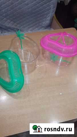 Аквариум для небольшой черепашки Зея - изображение 1