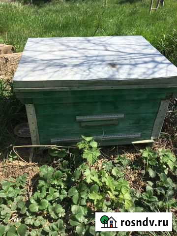 Продам ульи для пчел Махачкала - изображение 1