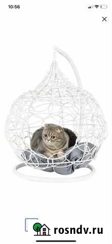 Подвесное кресло для животных Нижний Тагил - изображение 1