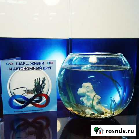 Аквариум Волгоград - изображение 1