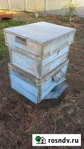 Улей для пчел Пестрецы - изображение 1