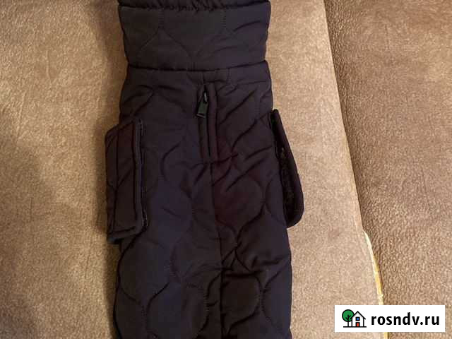 Безрукавка для собачки фирмы Zara Судогда - изображение 1