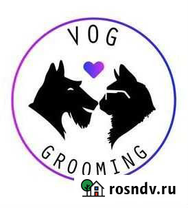 Стрижки кошек и собак пэт Черкесск - изображение 1