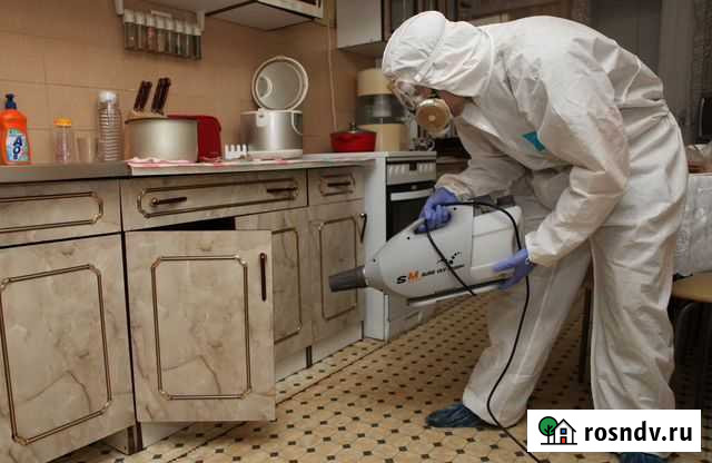 Дезинфекция Дезинсекция Дератизация Казань - изображение 1