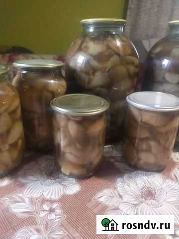 Грибы Рязань - изображение 1