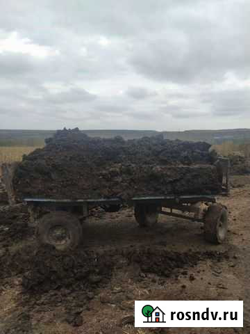 Навоз коровий перегной Разумное - изображение 1