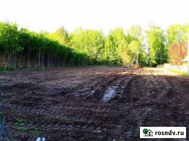 Расчистка участка,планировка,покос,корчевание,отсы Сафоново - изображение 1