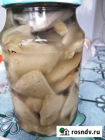 Грибы грузди соленые Нягань - изображение 1