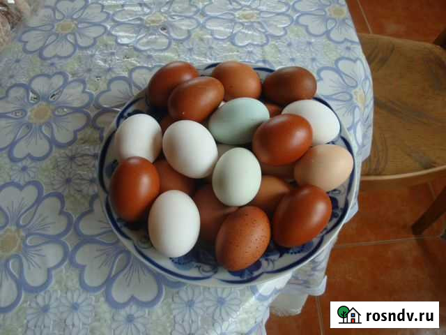 Яйца куриные,домашние,диетические Домодедово - изображение 1