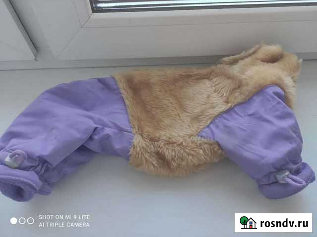 Одежда для маленьких собак Подольск - изображение 1