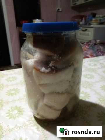 Продам сало Ровеньки - изображение 1