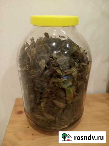 Иван-чай Владимир - изображение 1