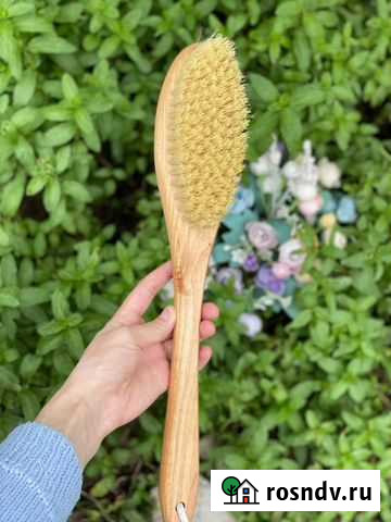 Щетка кактус Чегем - изображение 1