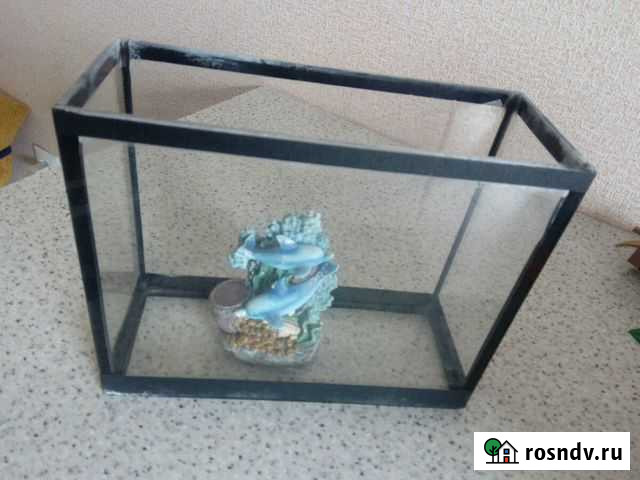 Аквариум Курск - изображение 1