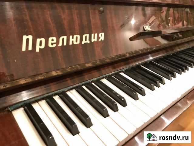 Фортепиано Асино - изображение 1