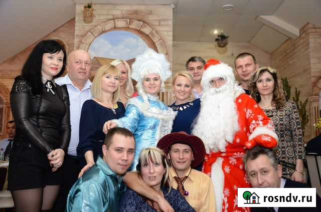 Дед Мороз, Снегурочка на Дом, Корпоратив,Школа,Сад Волжский - изображение 1
