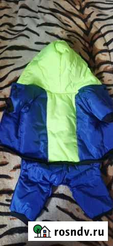 Комбинезон для собаки Ангарск - изображение 1