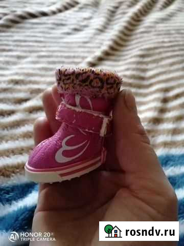 Обувь для маленьких собак Белогорск - изображение 1