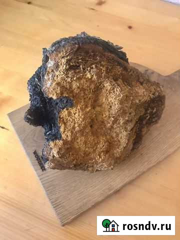 Чага березовая Дзержинск - изображение 1