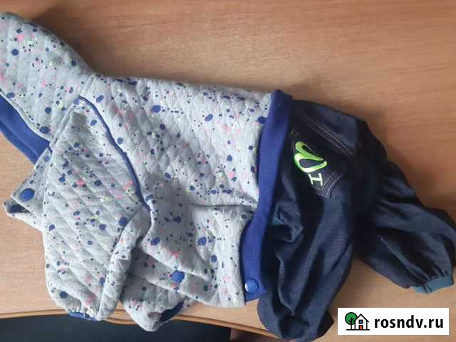 Одежда для собаки Братск - изображение 1