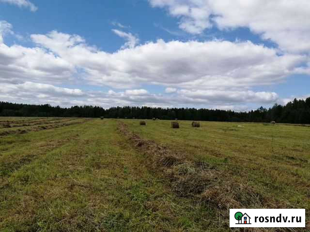Сено свежее В рулонах со склада Серов - изображение 1