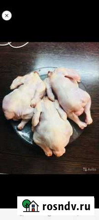 С лпх продаю цыплят корнишонов Переславль-Залесский - изображение 1