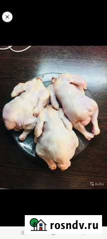 С лпх продаю цыплят корнишонов Переславль-Залесский - изображение 1