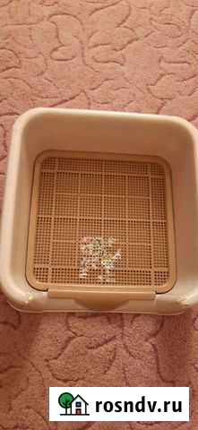 Лоток туалет для собак Вилючинск - изображение 1