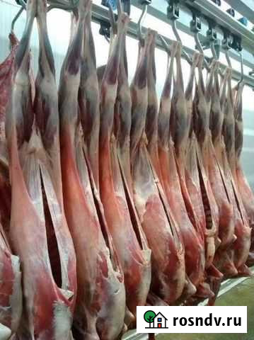 Мясо баранина козлятина Каспийск - изображение 1