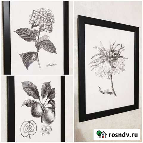 Картины. Графика. Ботаника Хабаровск - изображение 1