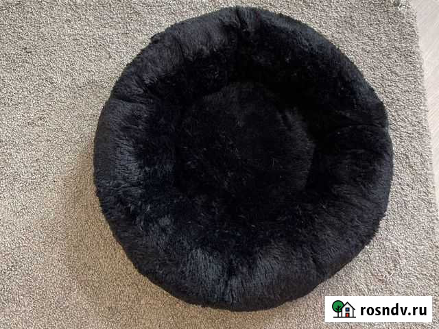 Лежанка для кошек Мытищи - изображение 1