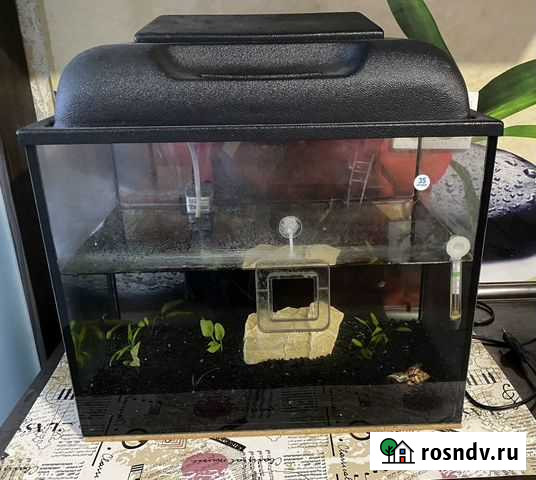 Аквариум Оренбург - изображение 1