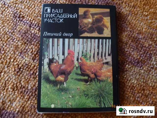 Открытки Птичий двор Красноярск - изображение 1